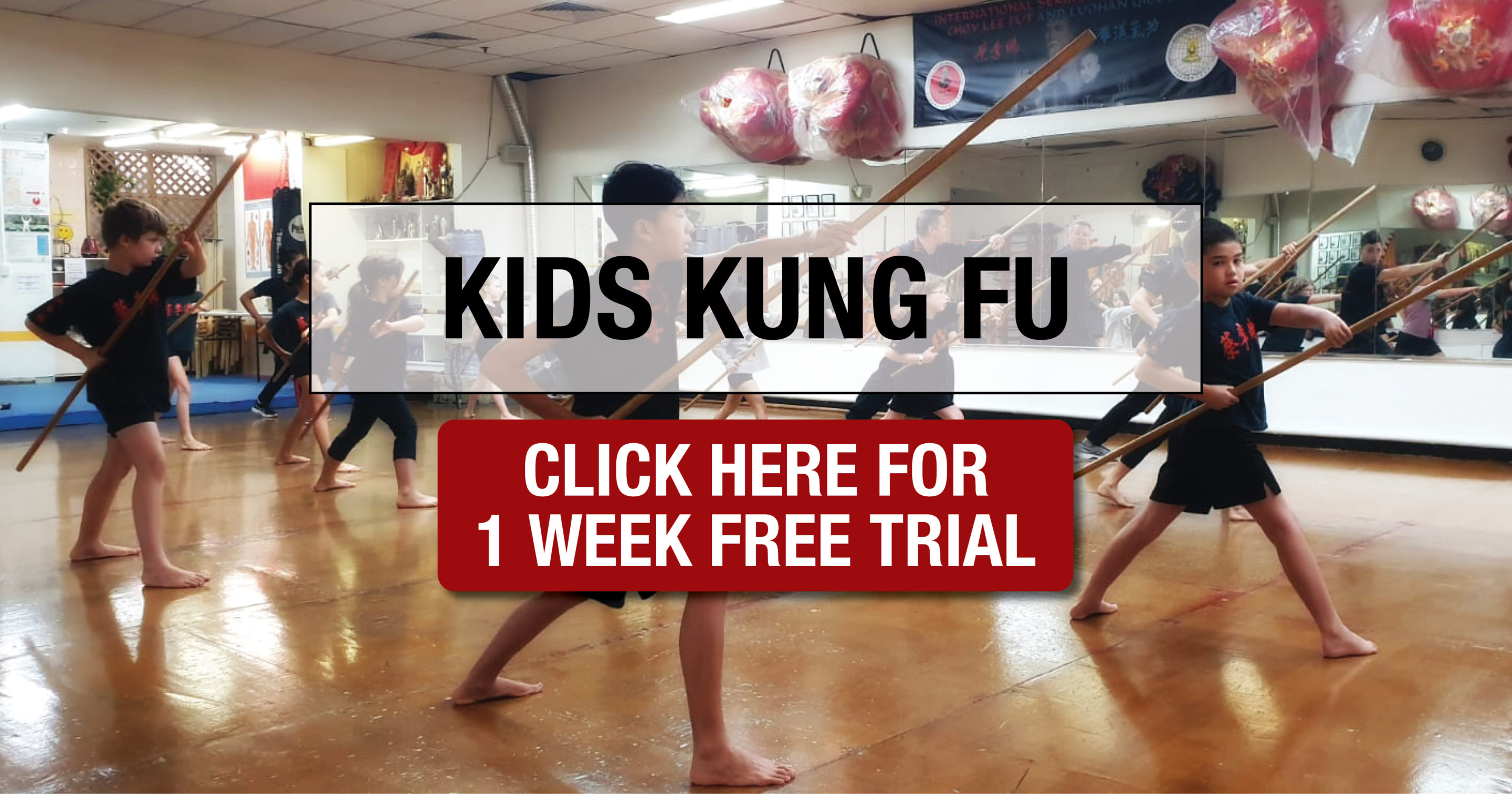 Sydney Kids Kung Fu Classes