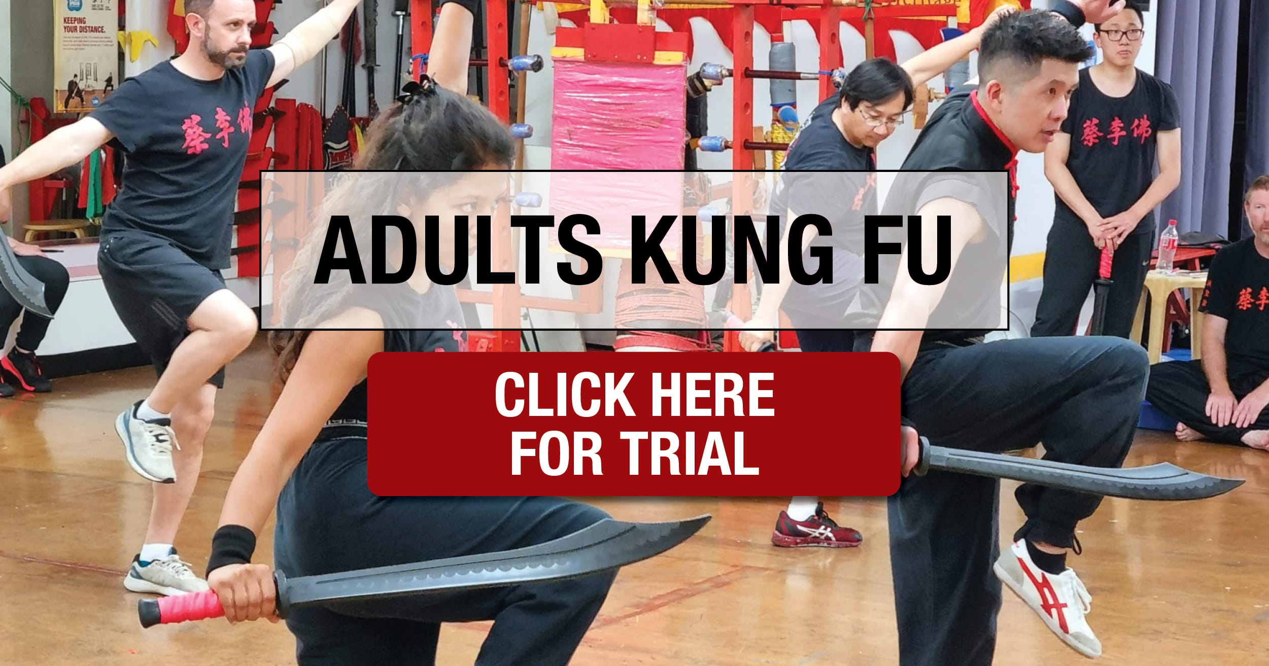 Sydney Adults Kung Fu Classes